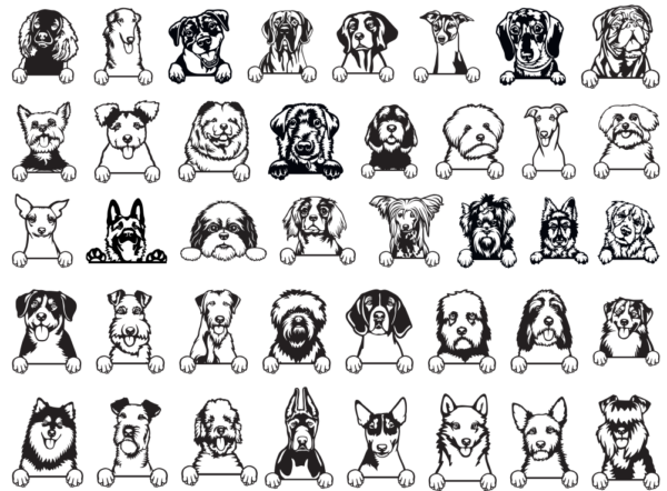 340 Cats and Dogs Wall Decor Vector Pack - Laser Cut & CNC Files (CDR, DXF, SVG, EPS, AI)