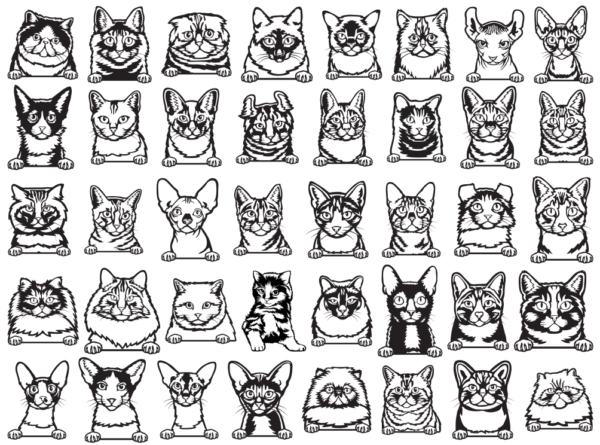 340 Cats and Dogs Wall Decor Vector Pack - Laser Cut & CNC Files (CDR, DXF, SVG, EPS, AI)