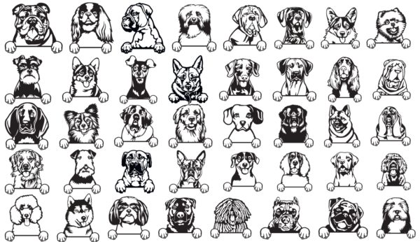 340 Cats and Dogs Wall Decor Vector Pack - Laser Cut & CNC Files (CDR, DXF, SVG, EPS, AI)
