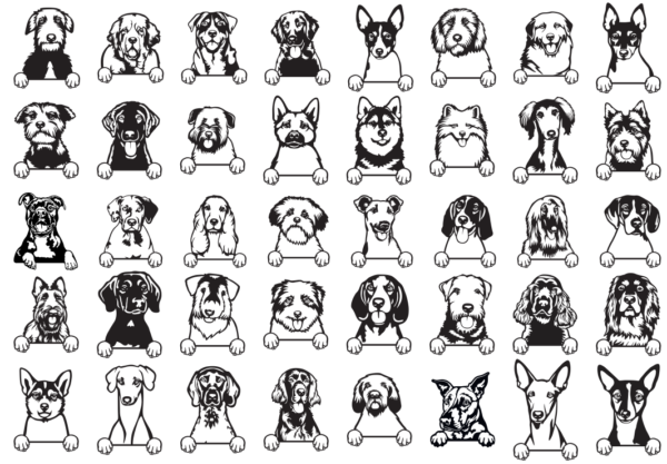 340 Cats and Dogs Wall Decor Vector Pack - Laser Cut & CNC Files (CDR, DXF, SVG, EPS, AI)