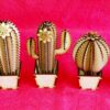 51767700_1962976360491669_4352475623898218496_n 5 Cactus 3D Models Vector Pack - Laser Cut & CNC Files (CDR, DXF, SVG, EPS)