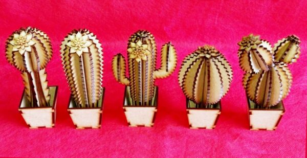 51767700_1962976360491669_4352475623898218496_n 5 Cactus 3D Models Vector Pack - Laser Cut & CNC Files (CDR, DXF, SVG, EPS)